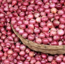 Small Onion 1Kg